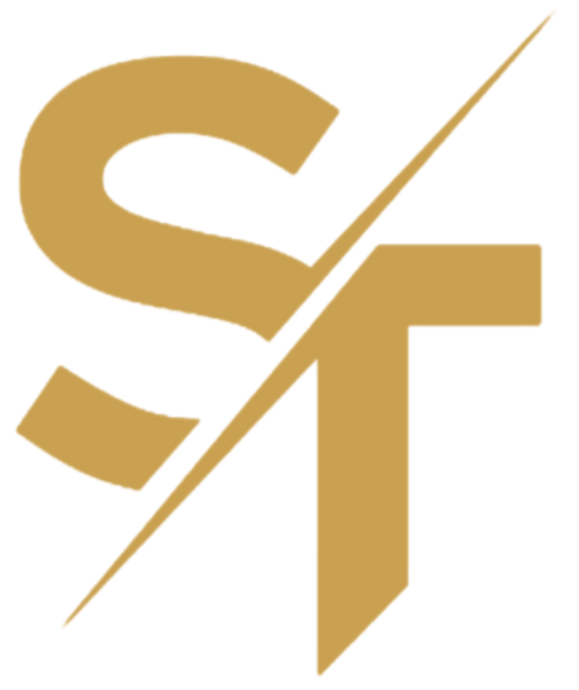 sindh Technology logo